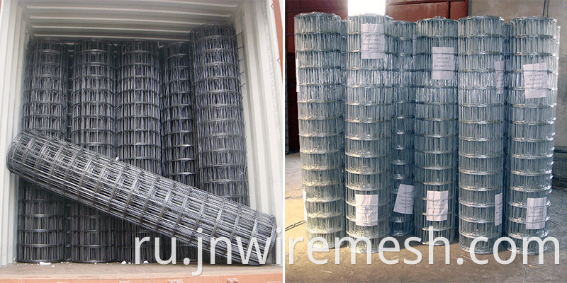 Galvanized-Welded-Wire-Mesh